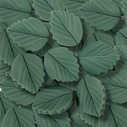 BASIL